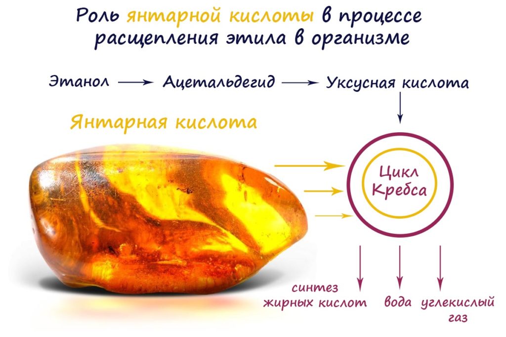 Механизм действия